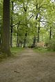 tannenfeld-sommer 2012-045
